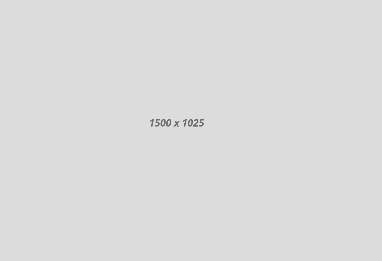 gallery04